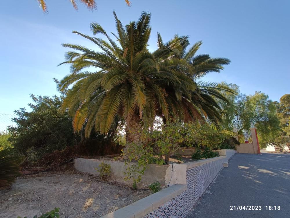  till salu villa Jijona Alacantí 38