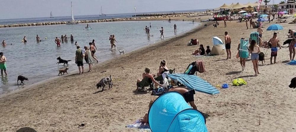  till salu bottenvåning Dénia Marina Alta 21