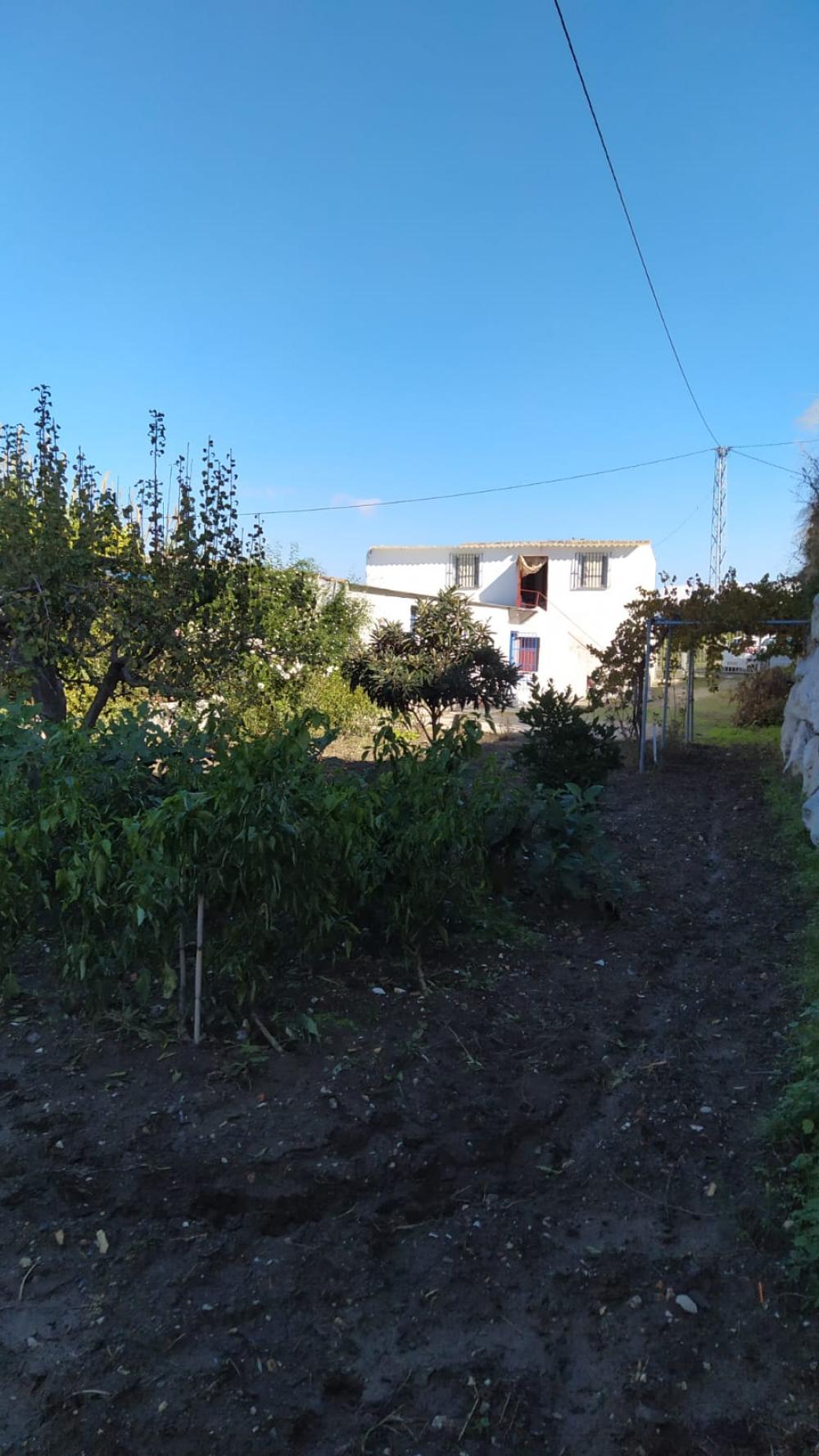  till salu hus på landet Coín Valle Del Guadalhorce 6