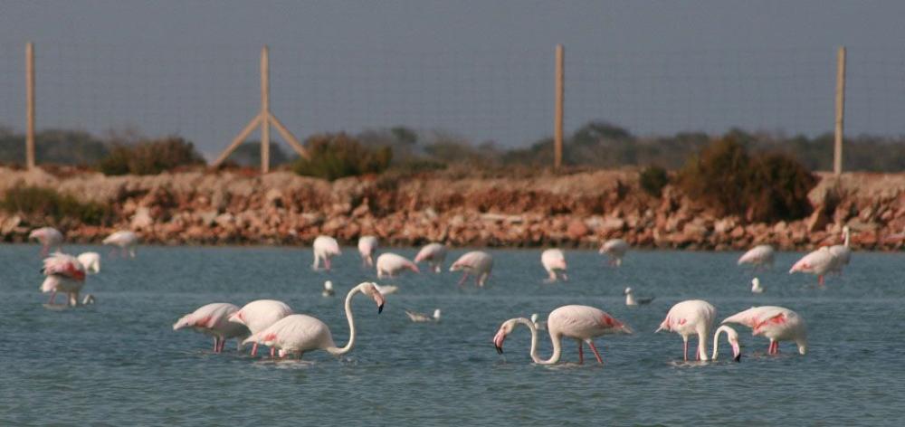  till salu lägenhet La Manga Del Mar Menor Campo De Cartagena 35