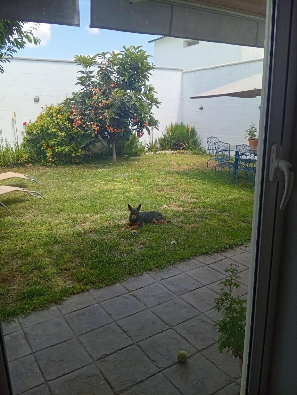  till salu villa Bollullos De La Mitación Aljarafe 2