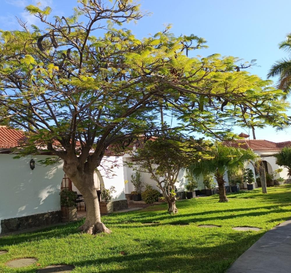  till salu parhus Maspalomas Área Sur 5