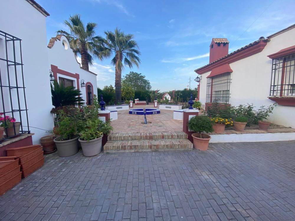  till salu villa Palma Del Rio Valle Medio Del Guadalquivir 4
