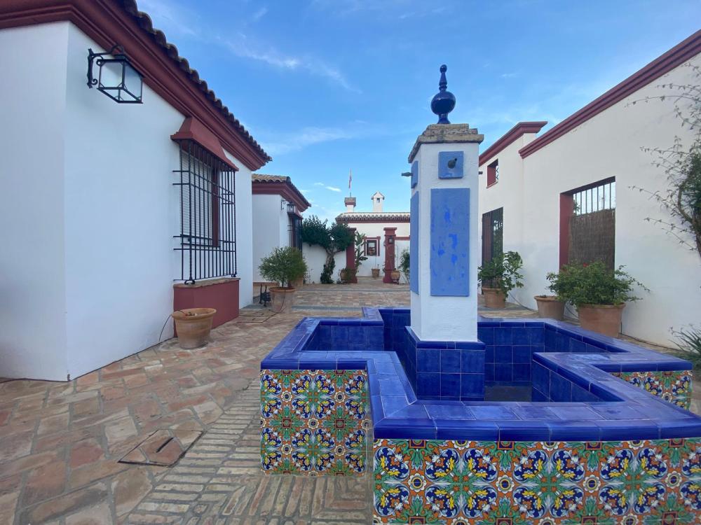  till salu villa Palma Del Rio Valle Medio Del Guadalquivir 13