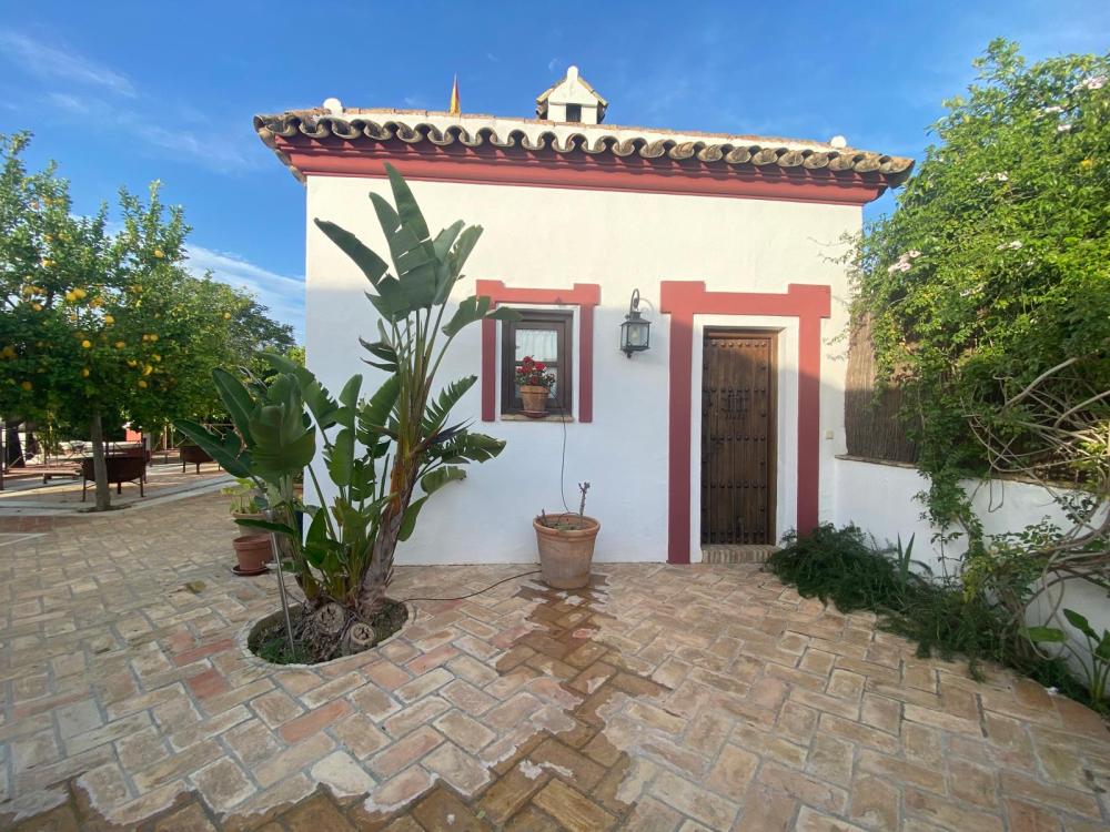  till salu villa Palma Del Rio Valle Medio Del Guadalquivir 6