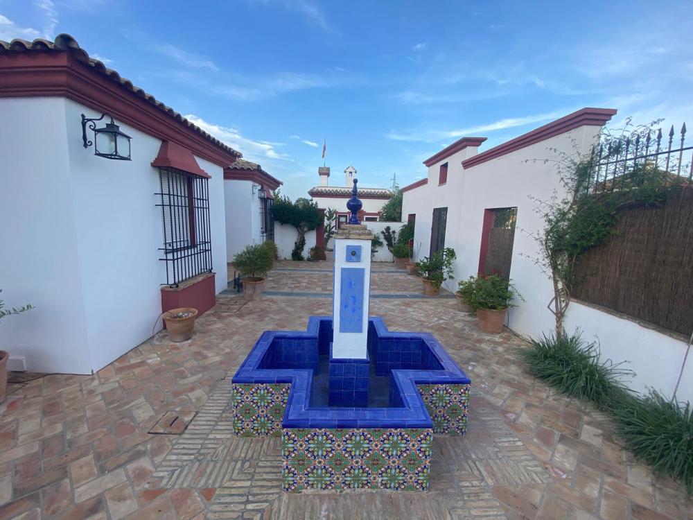  till salu villa Palma Del Rio Valle Medio Del Guadalquivir 14