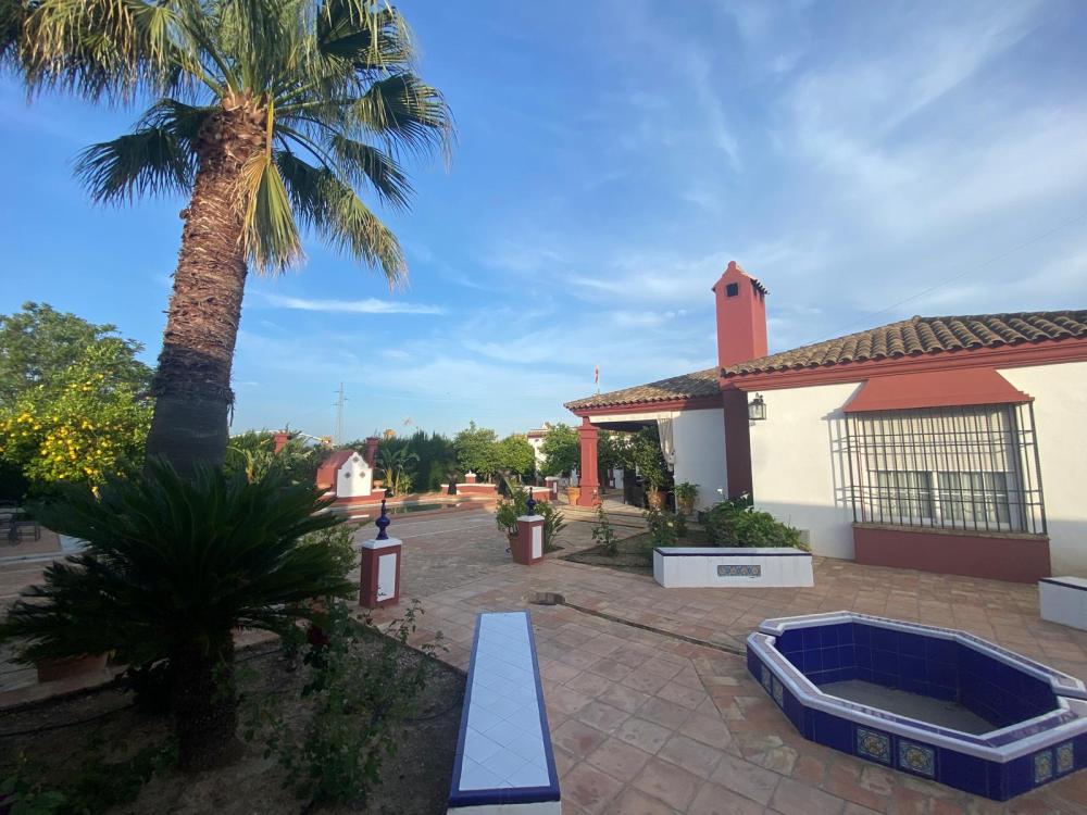 till salu villa Palma Del Rio Valle Medio Del Guadalquivir 3