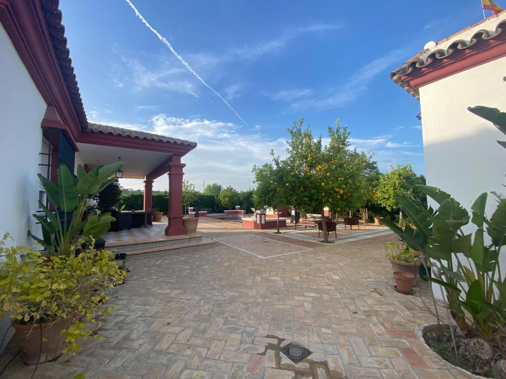  till salu villa Palma Del Rio Valle Medio Del Guadalquivir 1