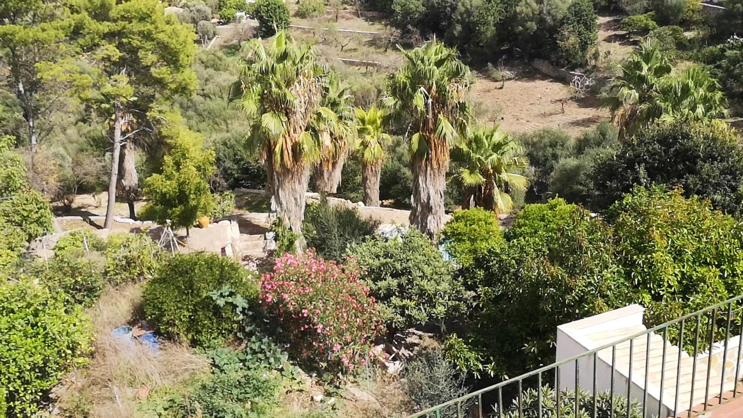  till salu hus Campanet Raiguer 15