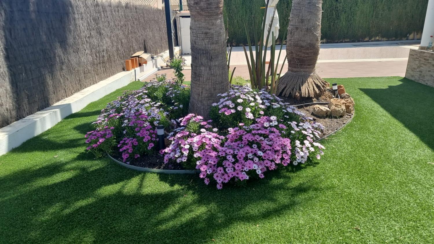  till salu hus Calasparra Noroeste 22