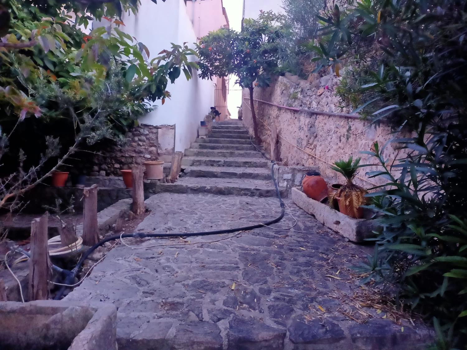  till salu hus Campanet Raiguer 17