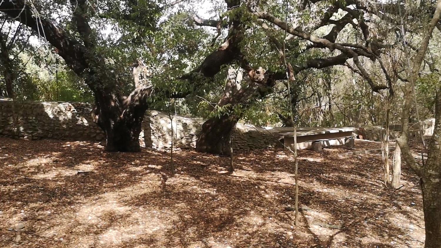  till salu hus Campanet Raiguer 44