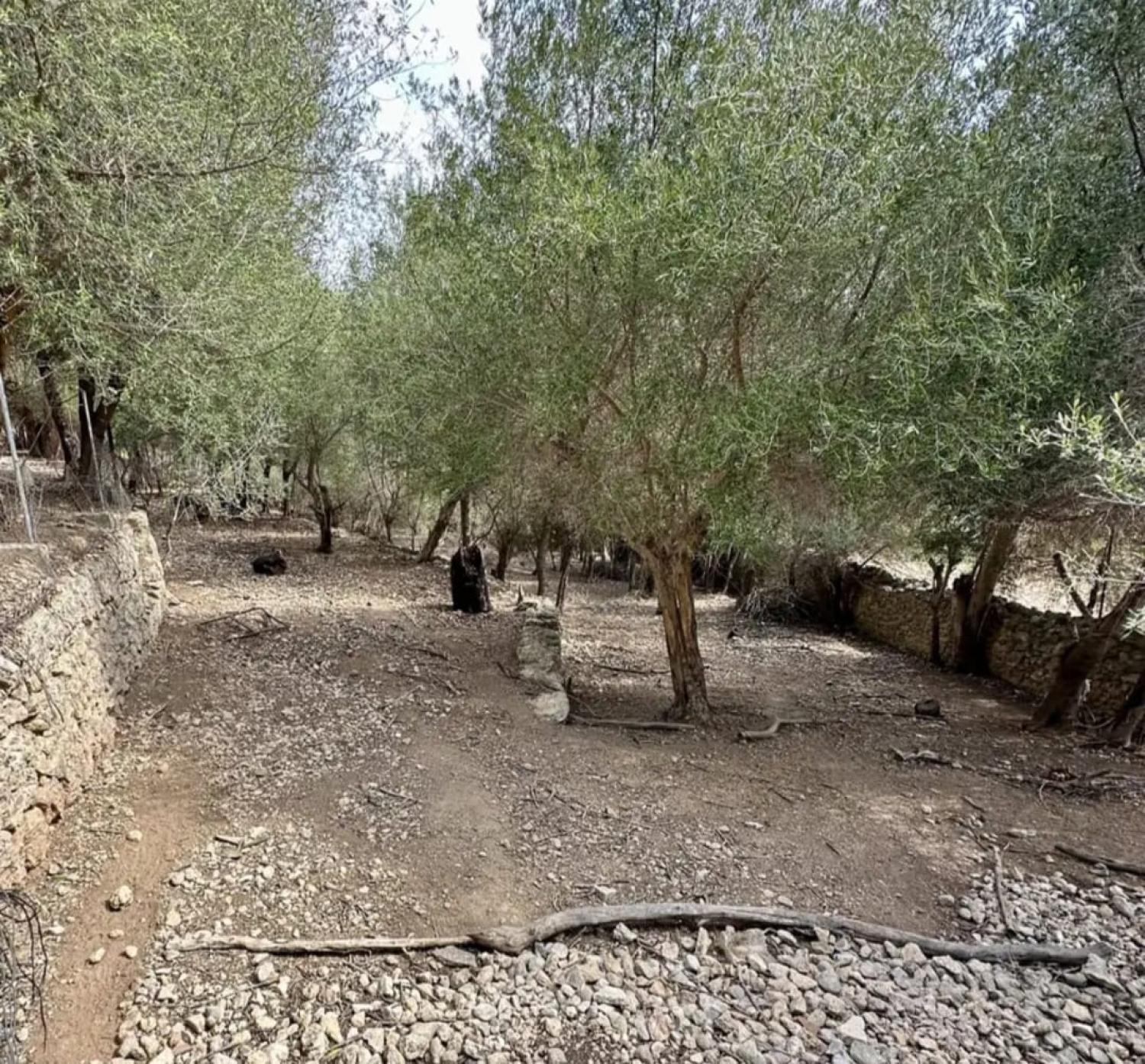  till salu hus Campanet Raiguer 41