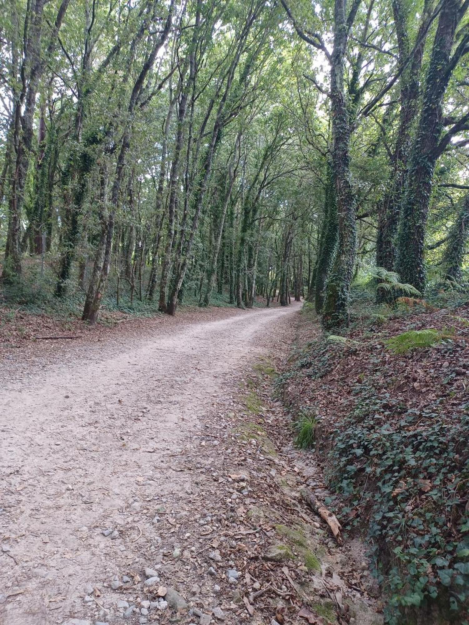  till salu tomt Raíces Santiago 6