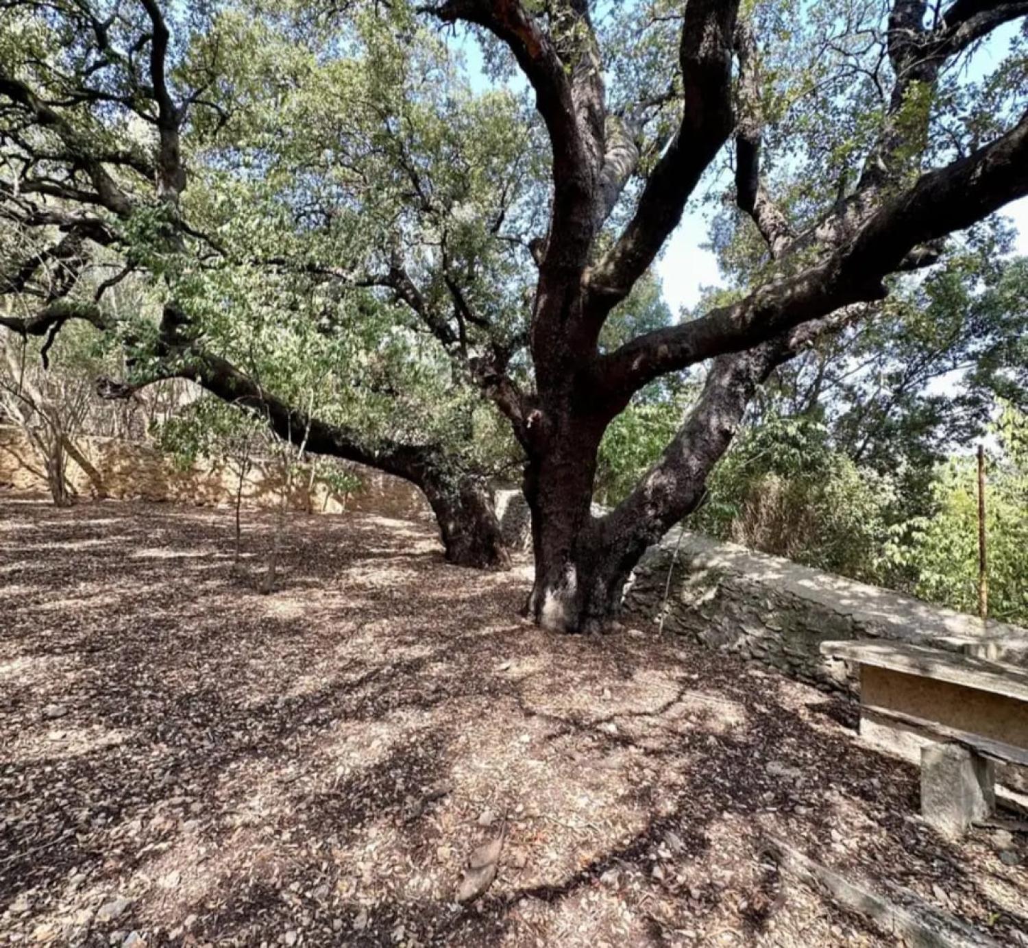  till salu hus Campanet Raiguer 43