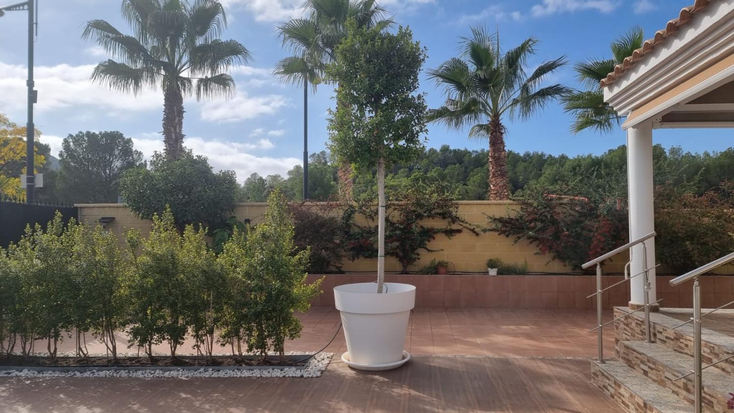  till salu hus Calasparra Noroeste 5