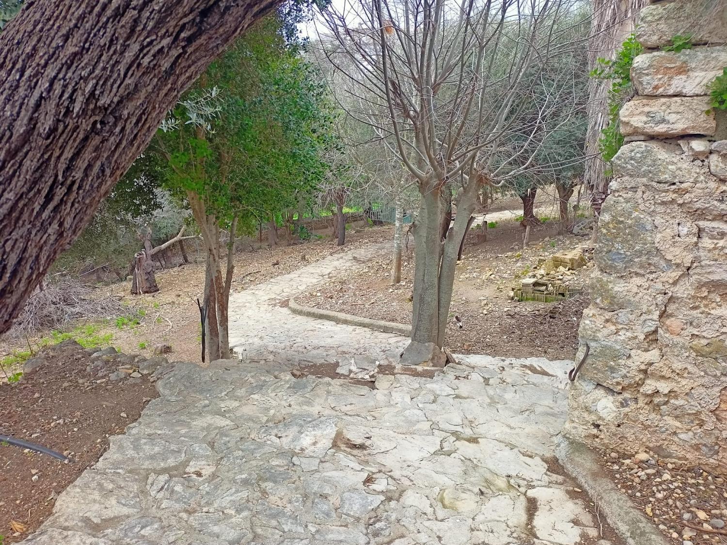  till salu hus Campanet Raiguer 38