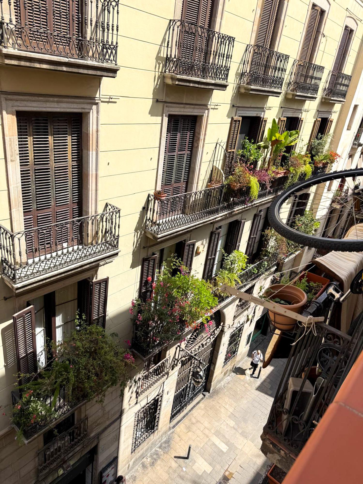  till salu lägenhet Ciutat Vella-Sant Pere-Santa Caterina-El Born Barcelonès 19