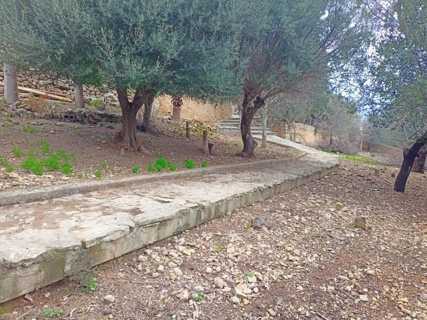  till salu hus Campanet Raiguer 39