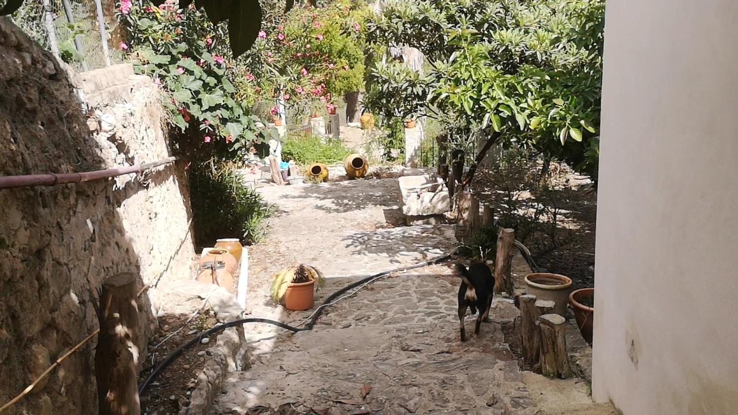  till salu hus Campanet Raiguer 14