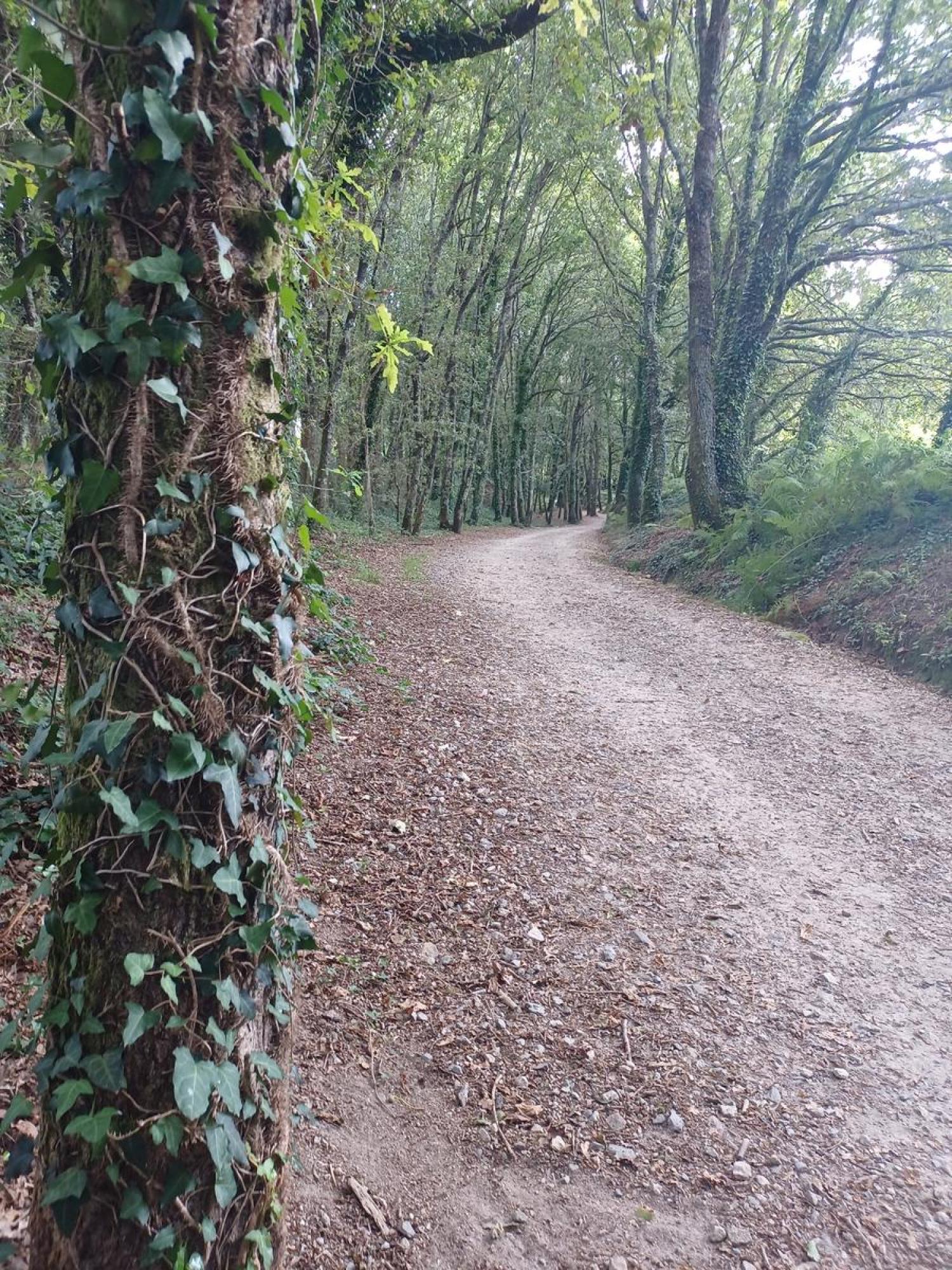  till salu tomt Raíces Santiago 11