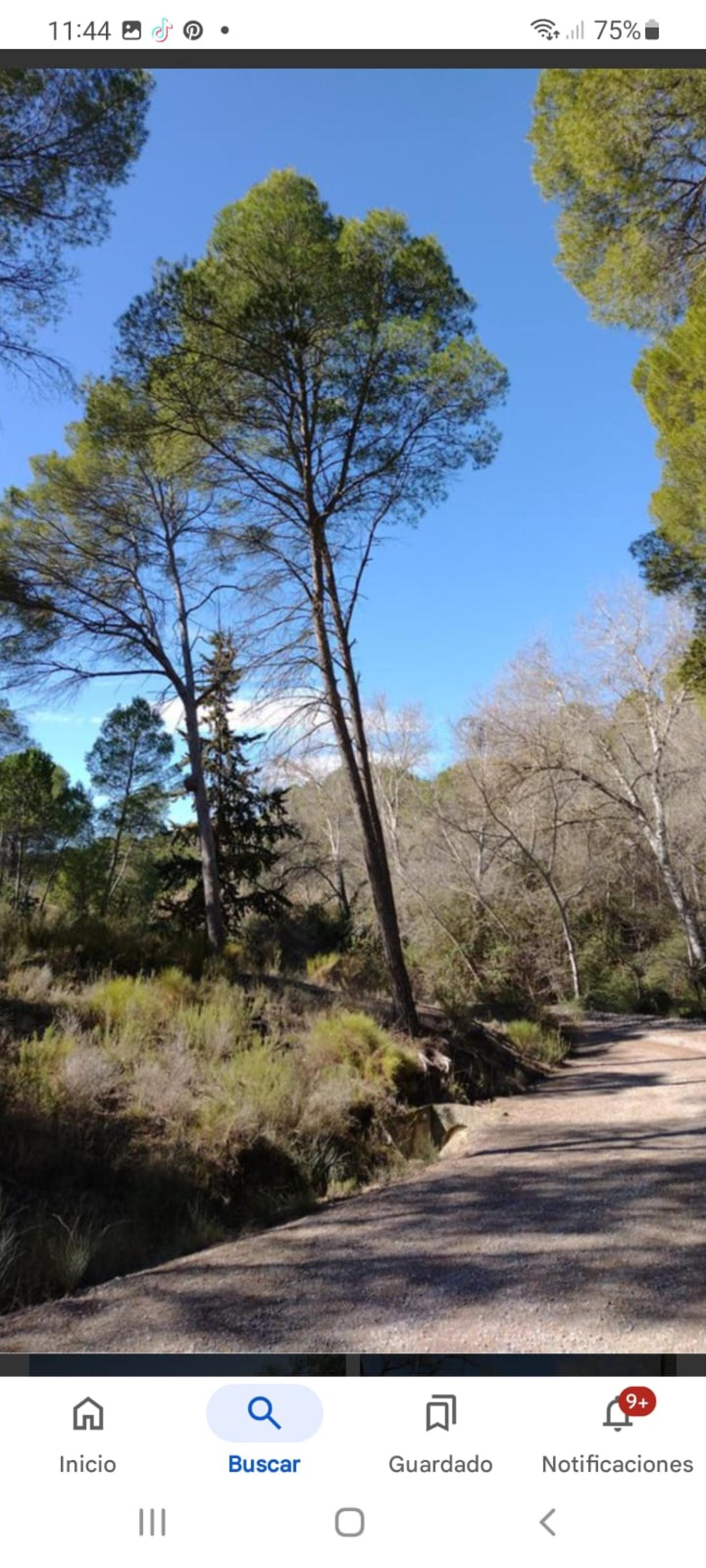  till salu hus Calasparra Noroeste 16