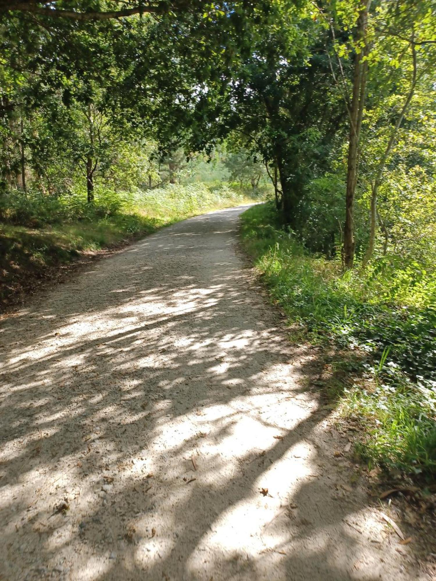  till salu tomt Raíces Santiago 13