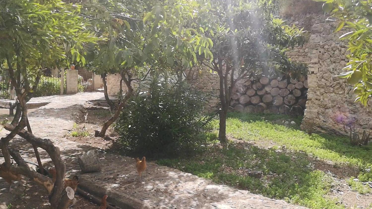  till salu hus Campanet Raiguer 19