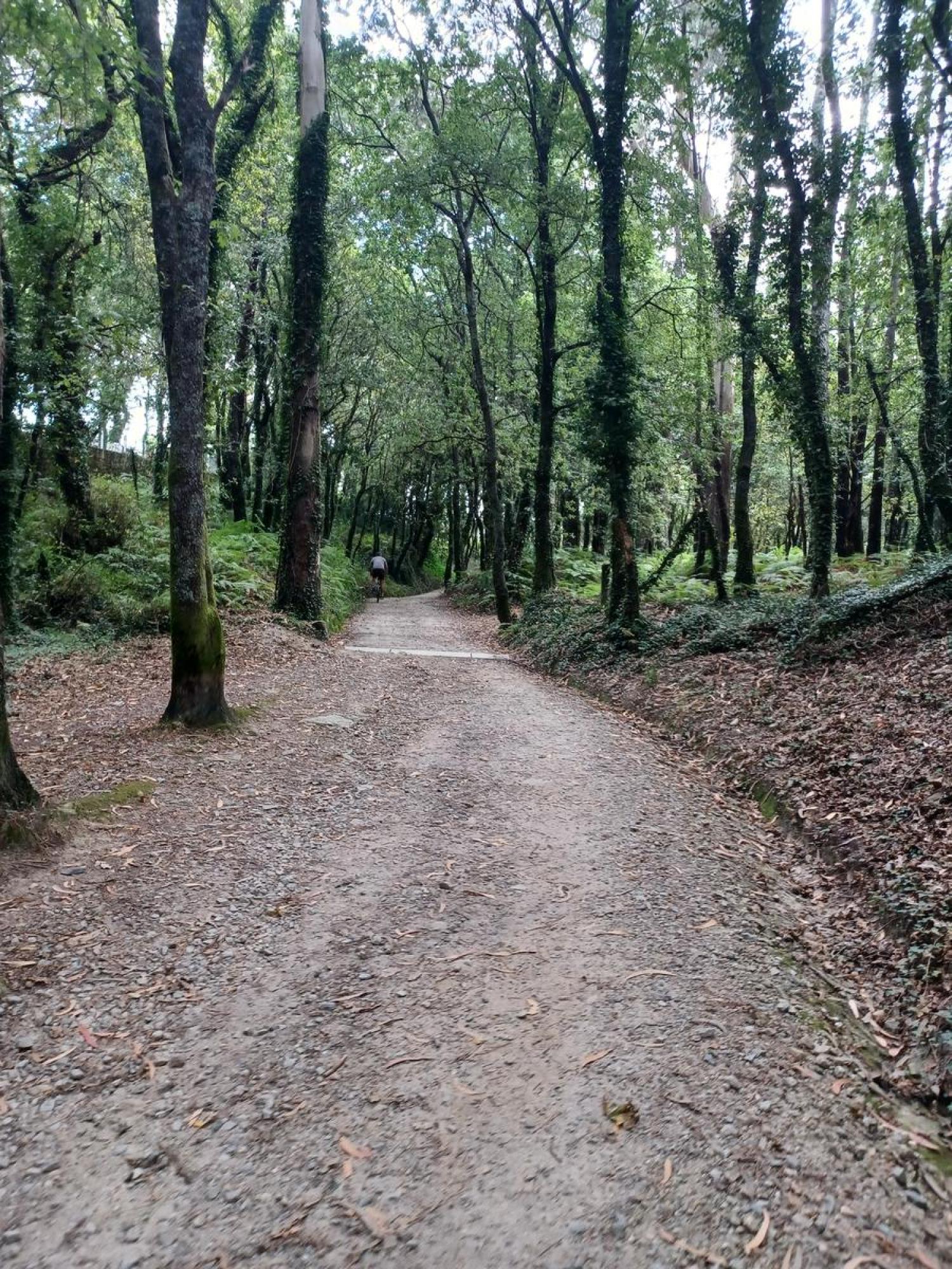  till salu tomt Raíces Santiago 4