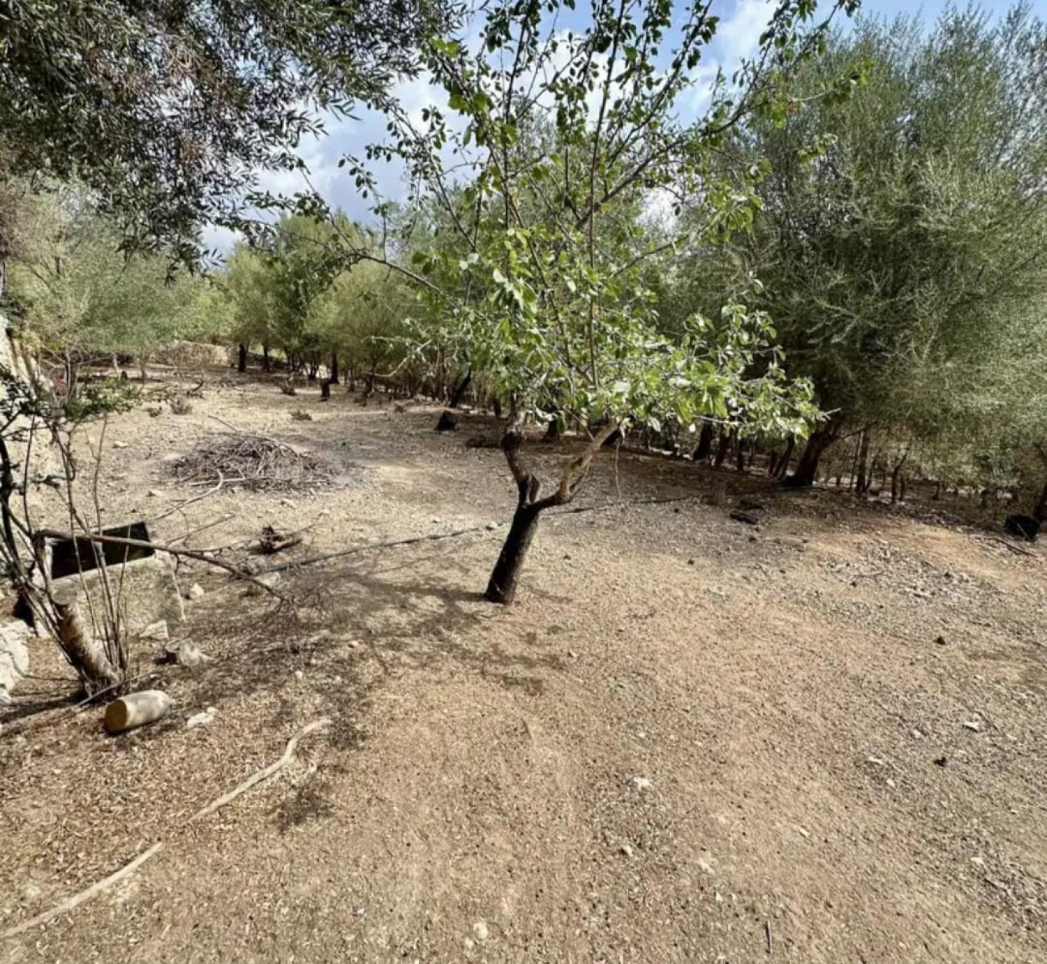  till salu hus Campanet Raiguer 42