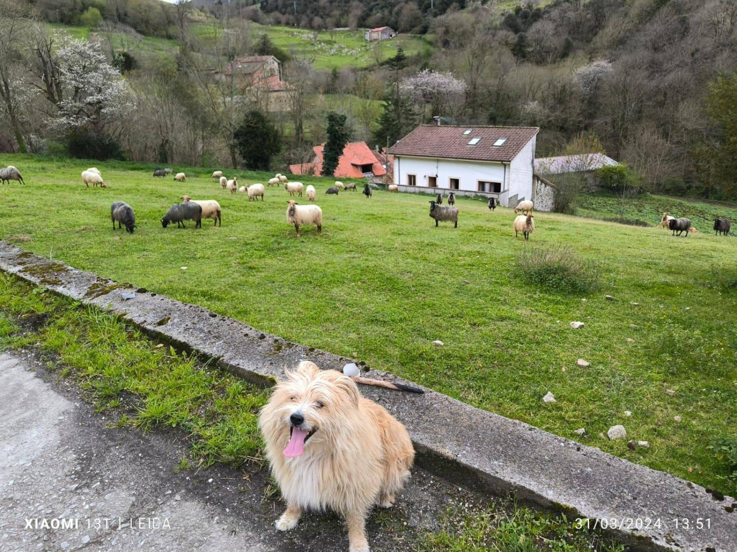  till salu radhus Arangas Oriente 48