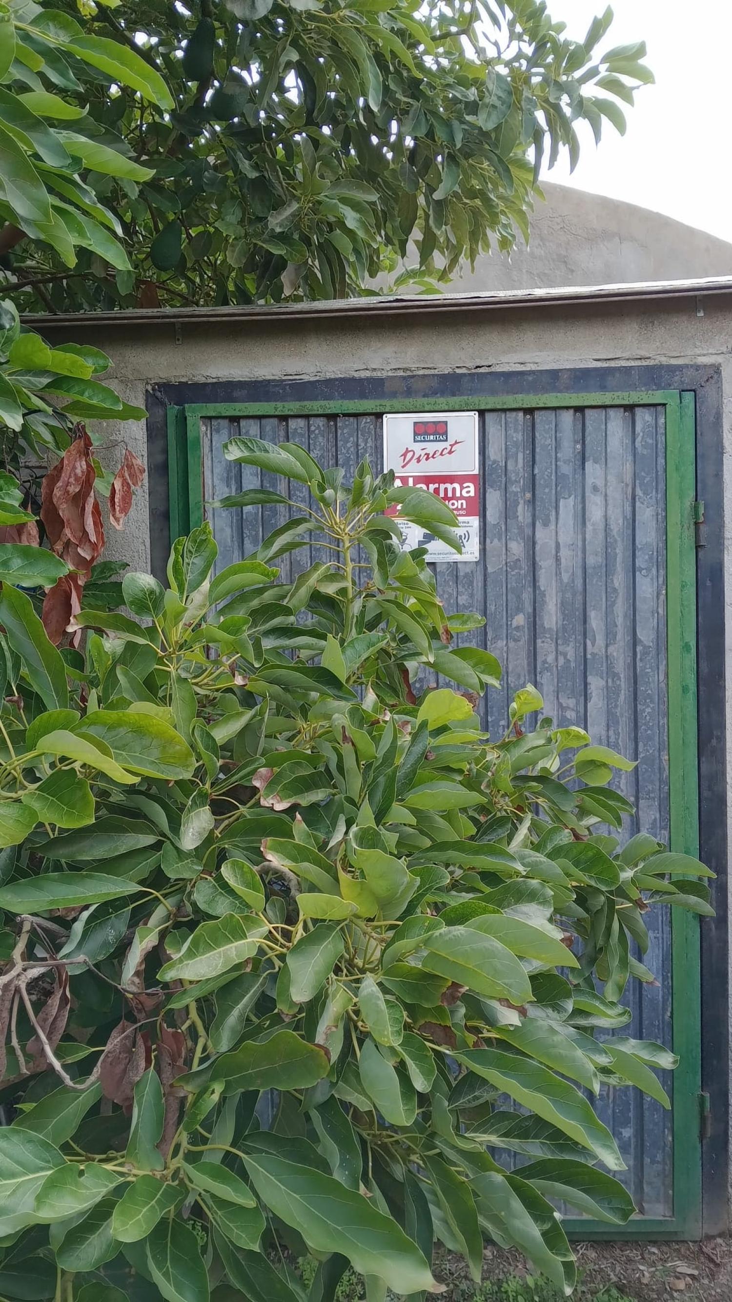  till salu radhus Puntalón Costa Tropical 11