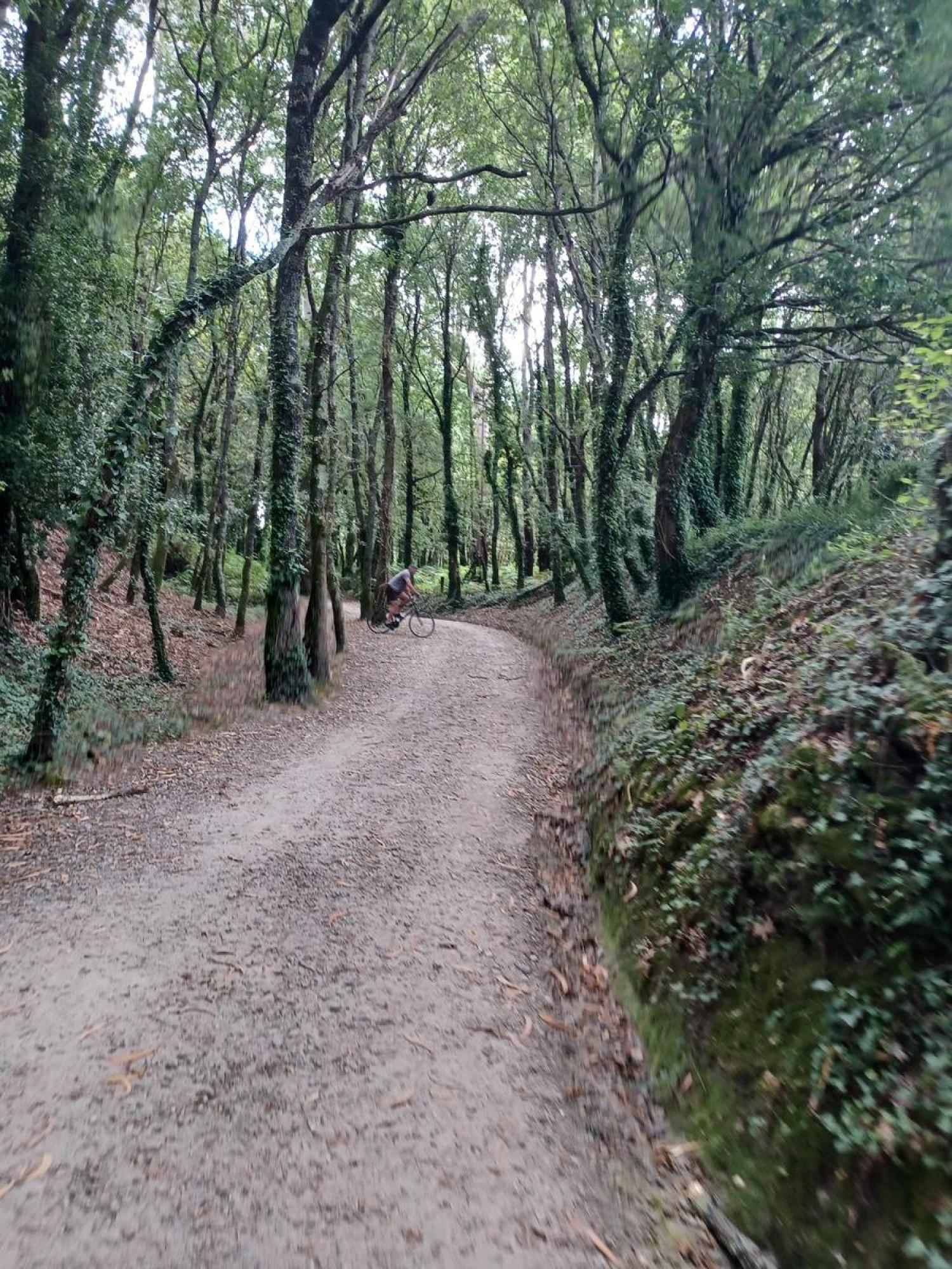  till salu tomt Raíces Santiago 32