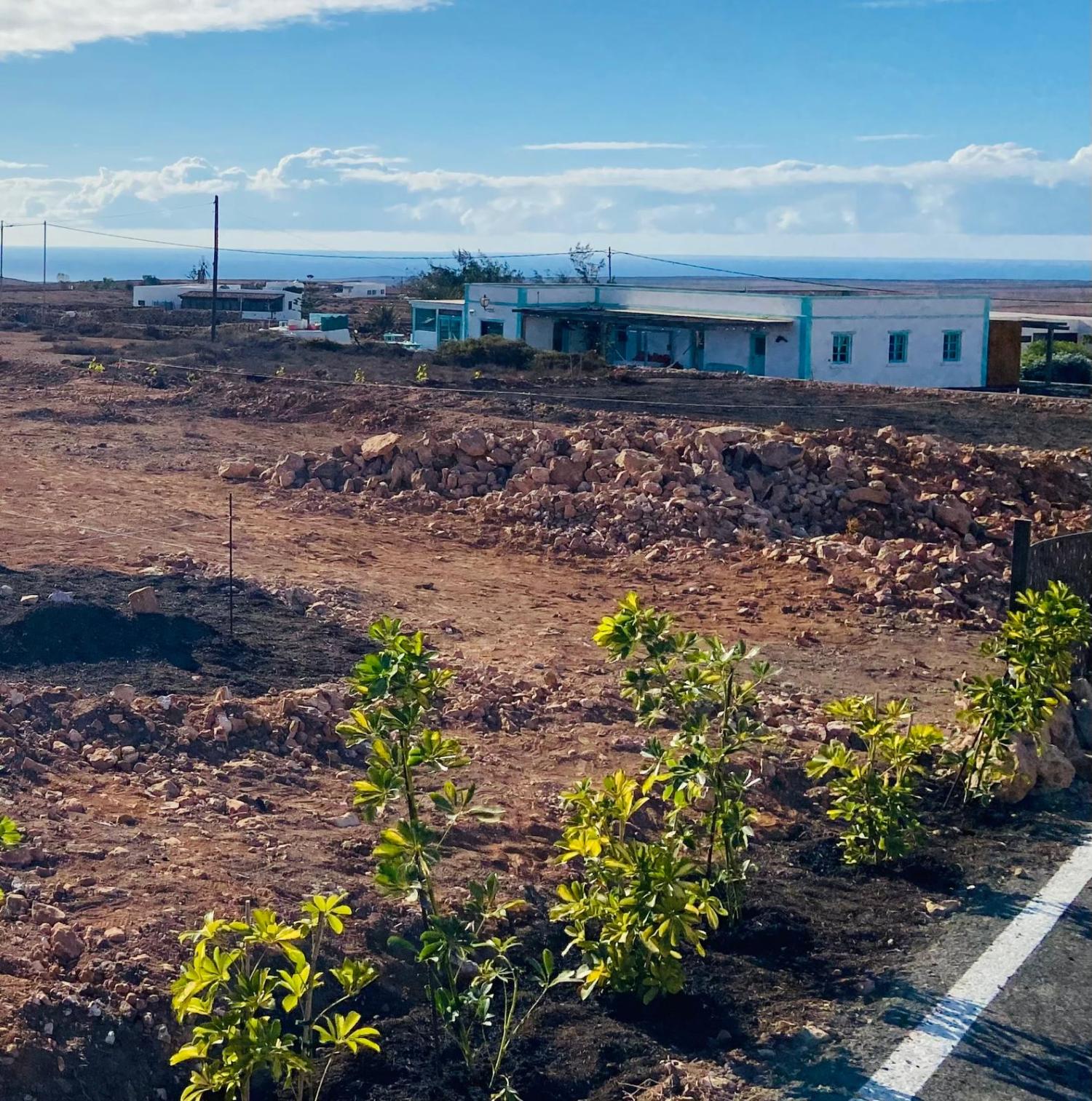  till salu tomt Tindaya Oliva (La) 7