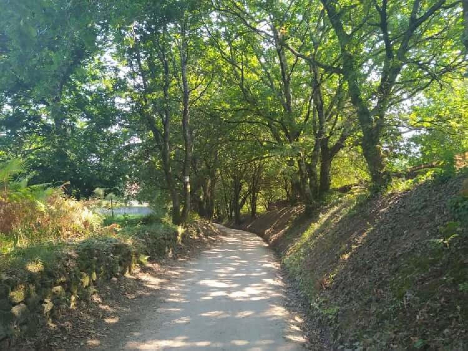  till salu tomt Raíces Santiago 27