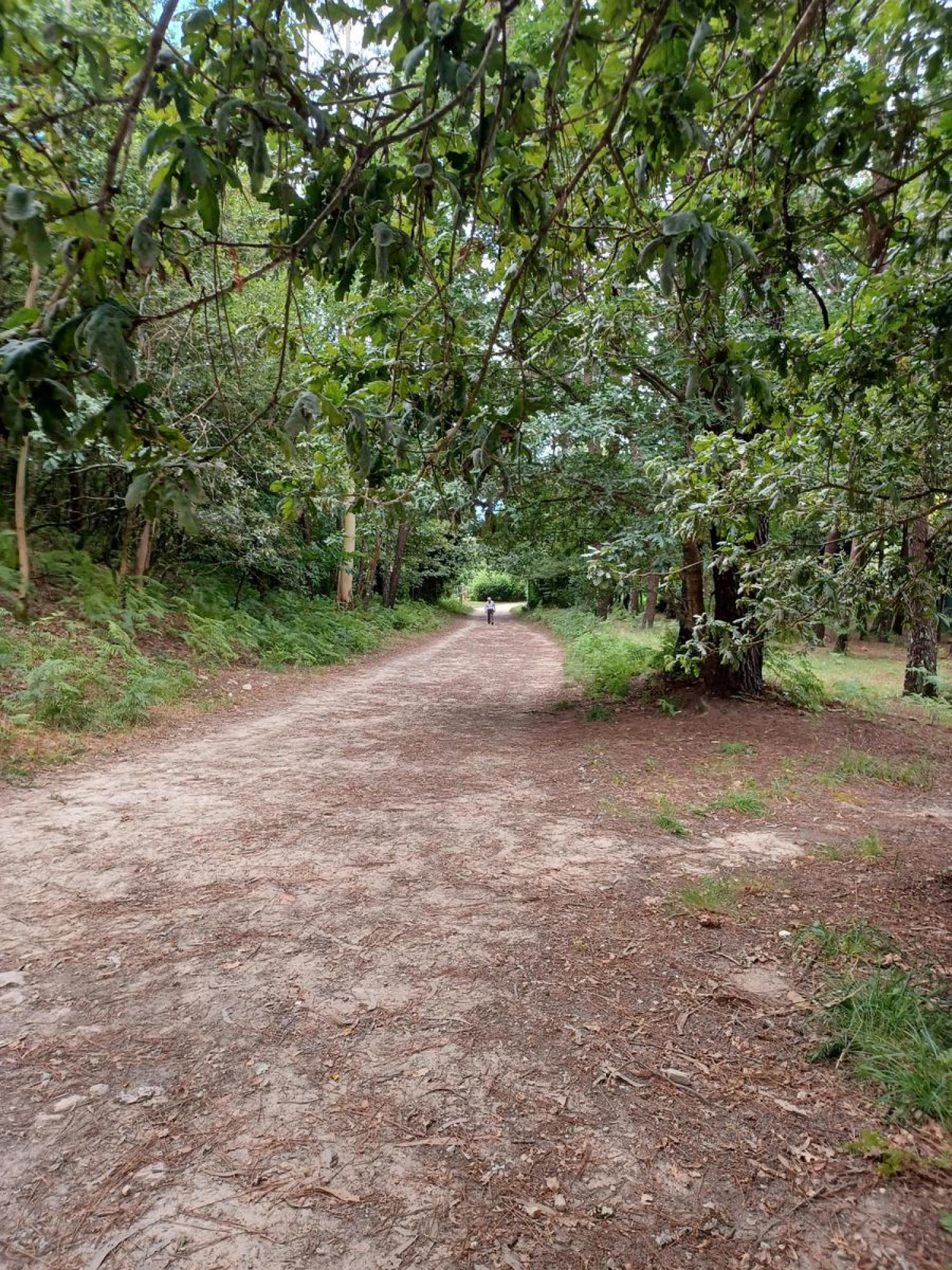  till salu tomt Raíces Santiago 20