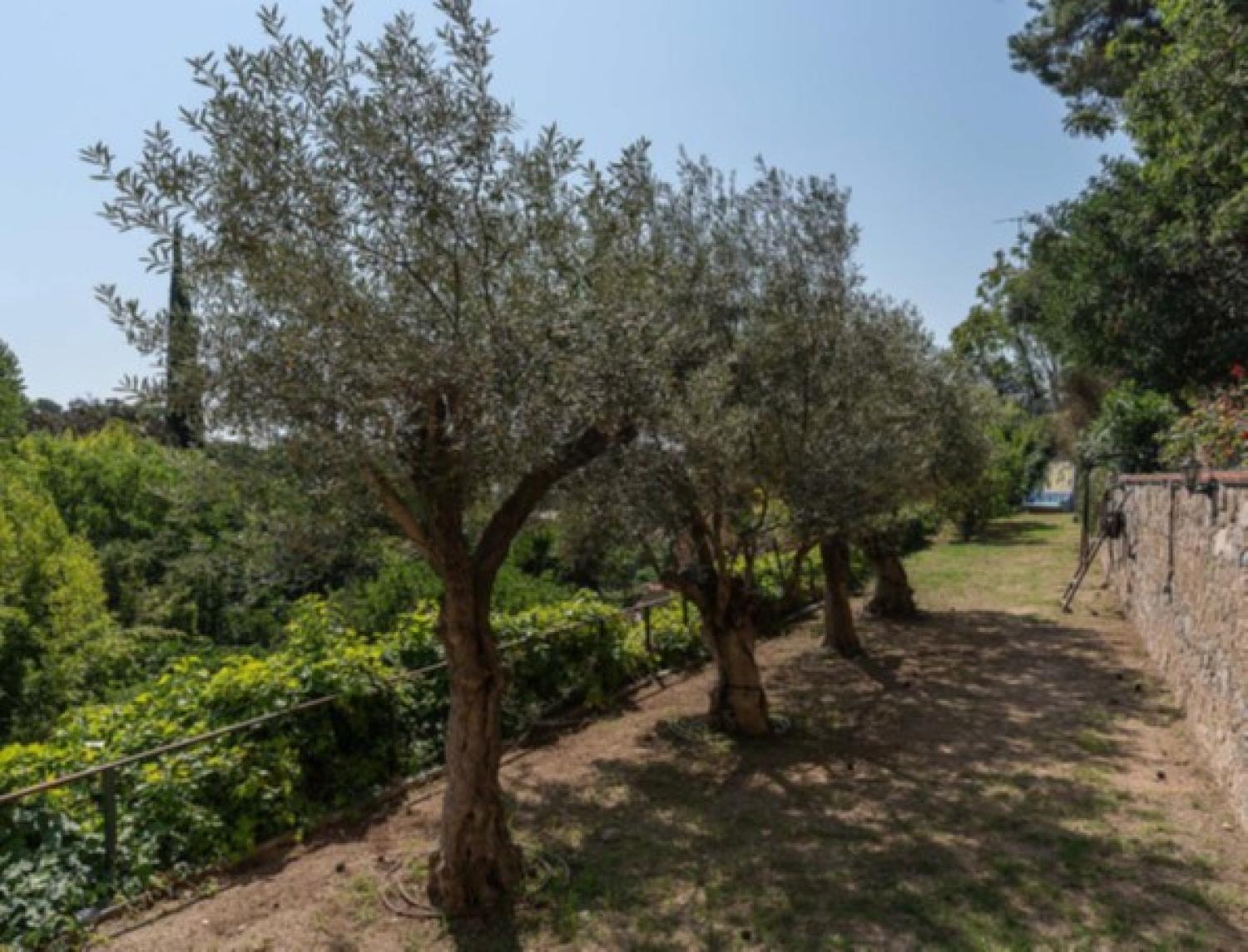  till salu herrgard Nucli Antic Maresme 41