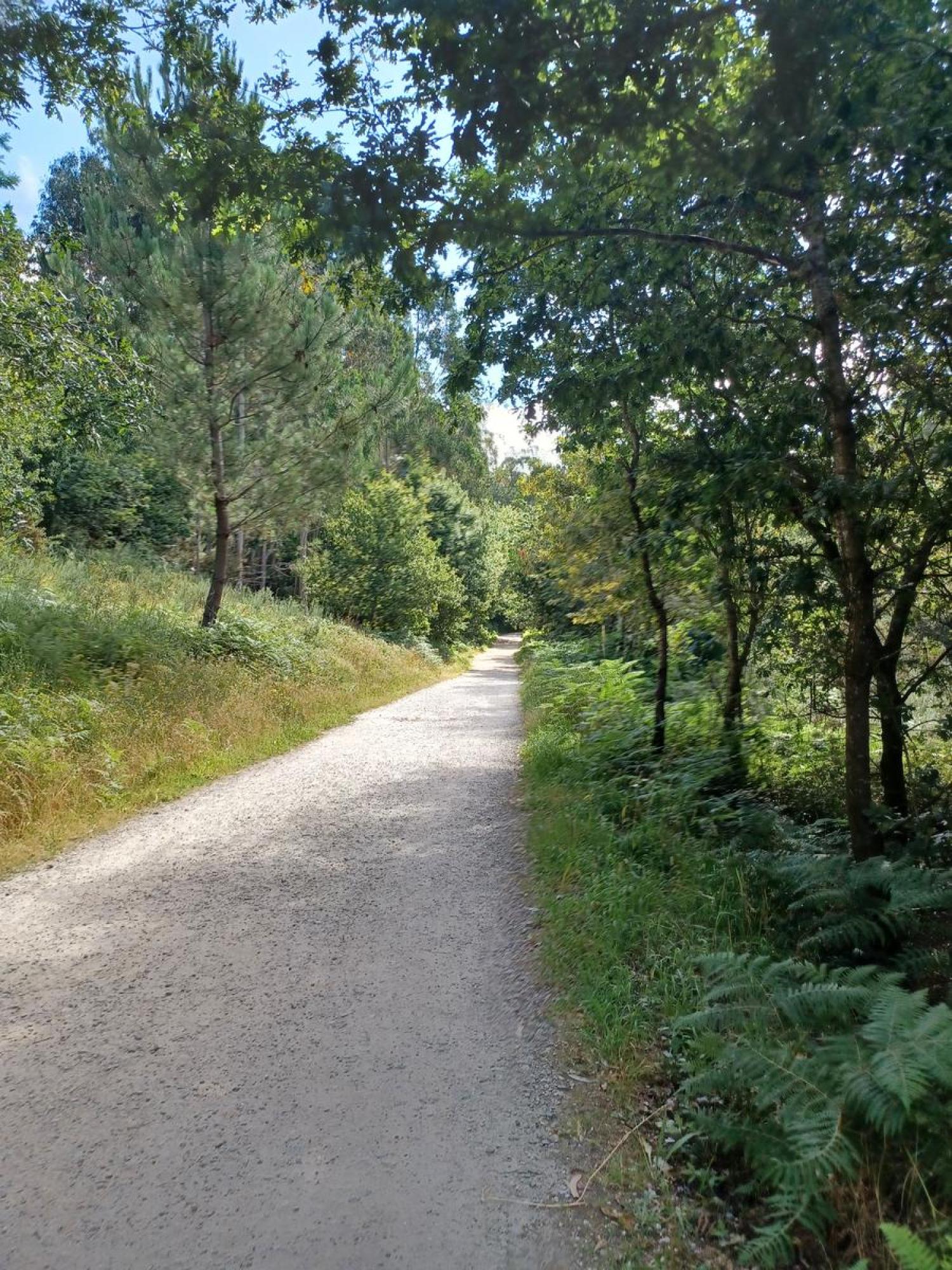  till salu tomt Raíces Santiago 24