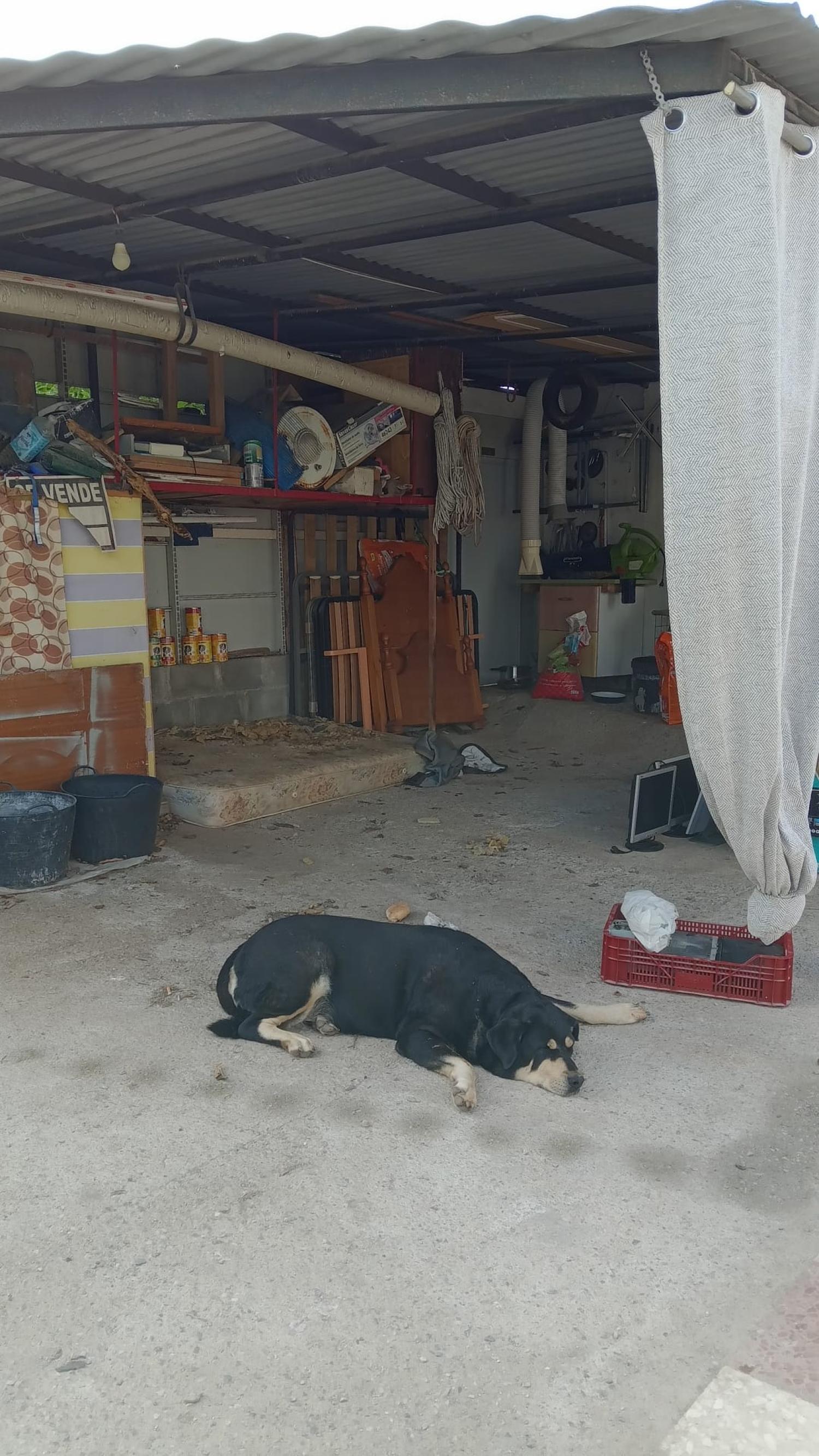  till salu radhus Puntalón Costa Tropical 9