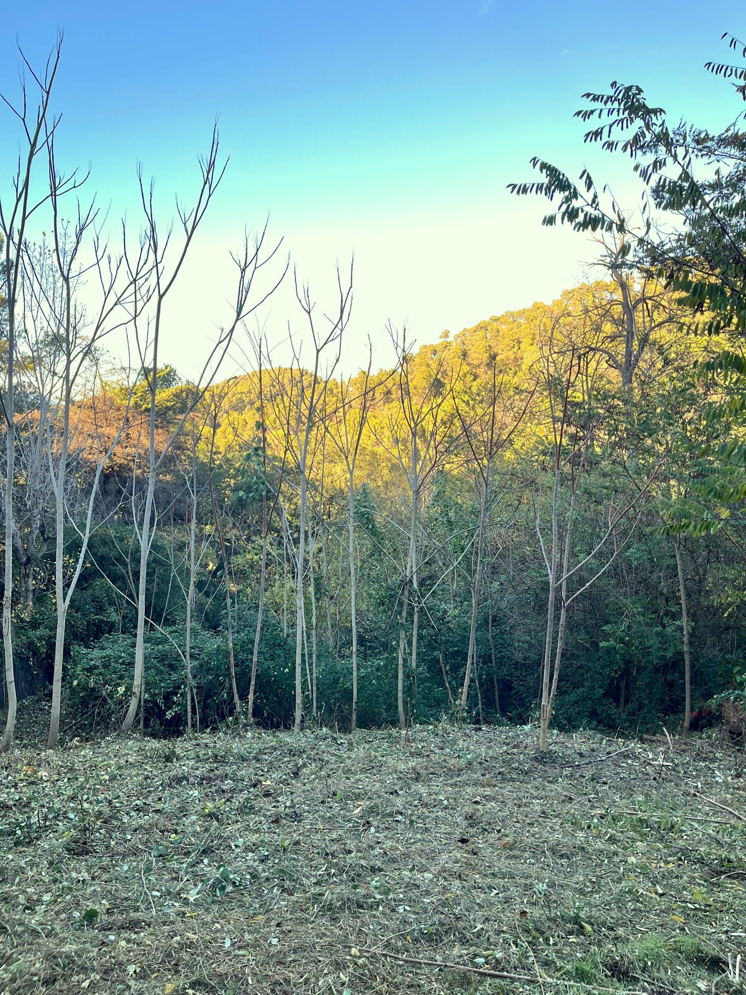  till salu tomt Les Planes Vallès Occidental 1