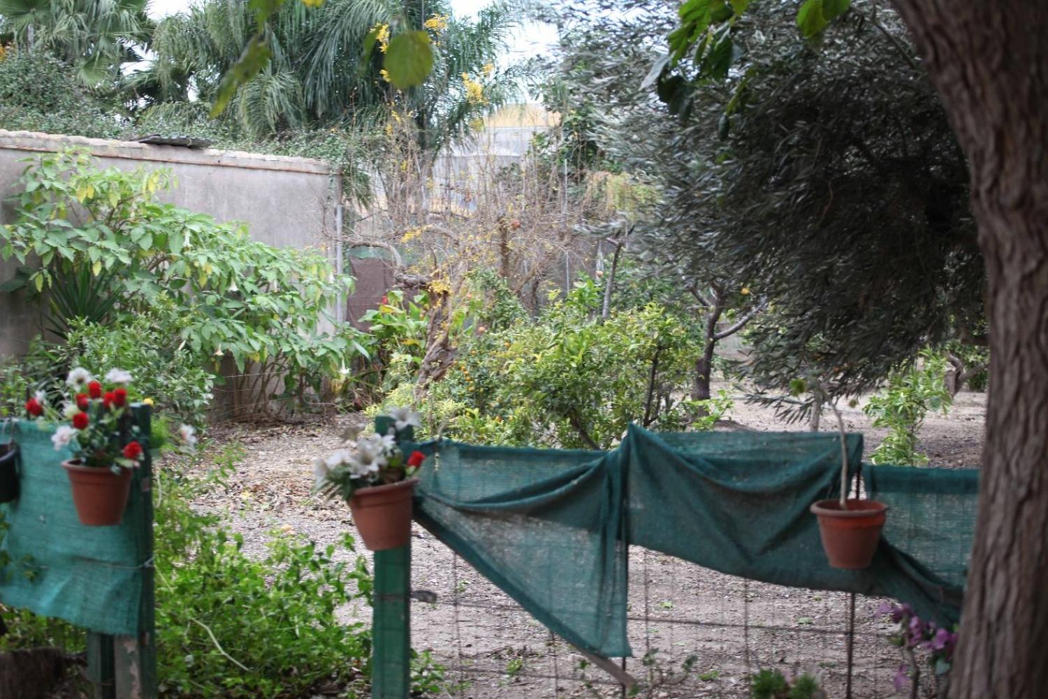  till salu villa Sollana Ribera Baixa 68