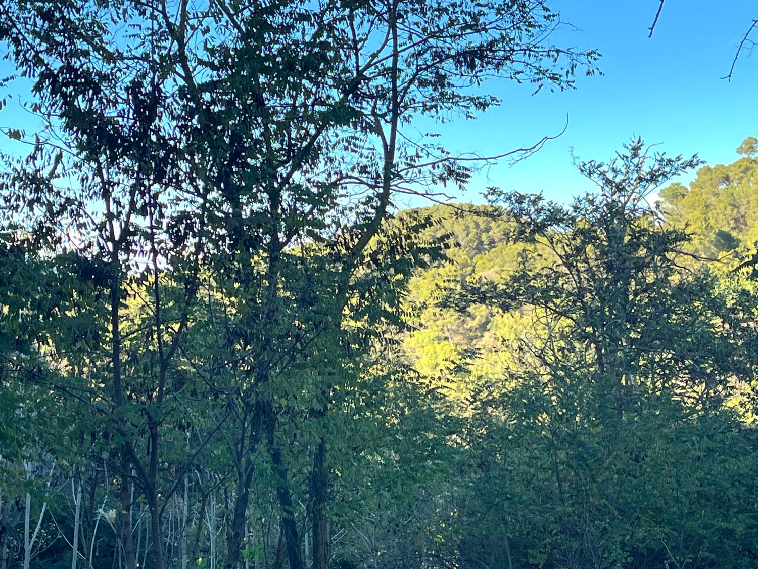  till salu tomt Les Planes Vallès Occidental 9