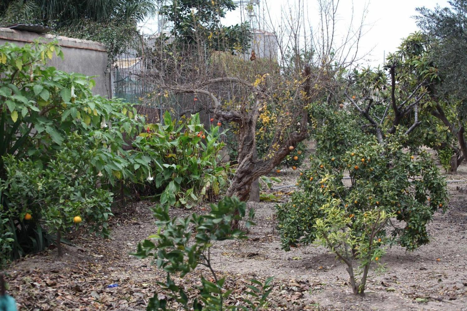  till salu villa Sollana Ribera Baixa 81