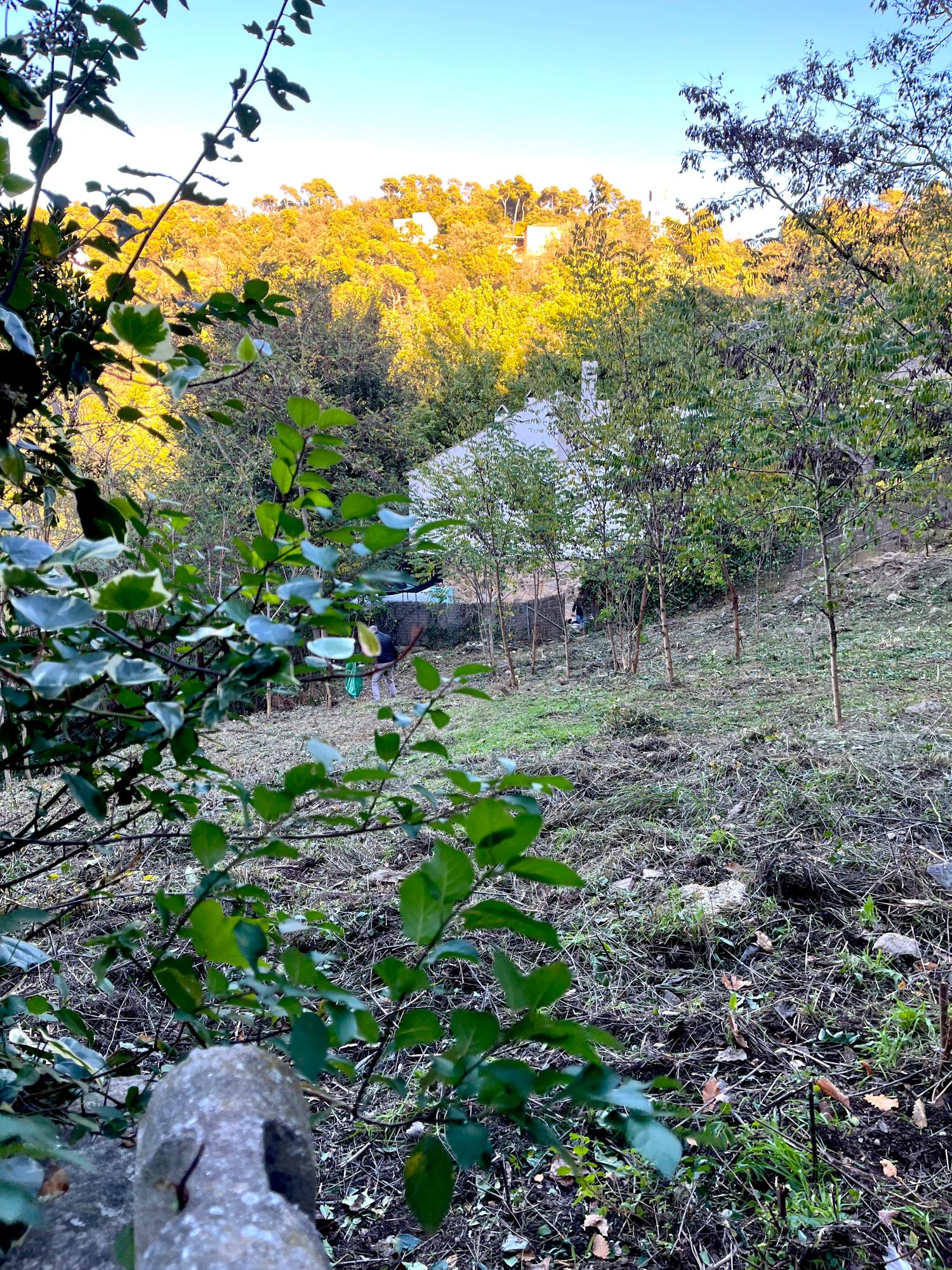  till salu tomt Les Planes Vallès Occidental 3