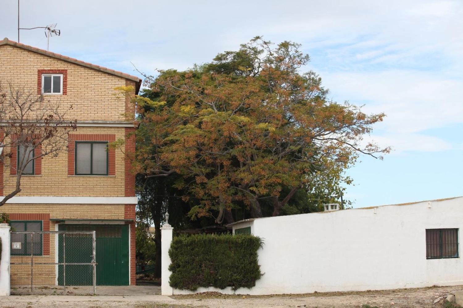  till salu villa Sollana Ribera Baixa 16