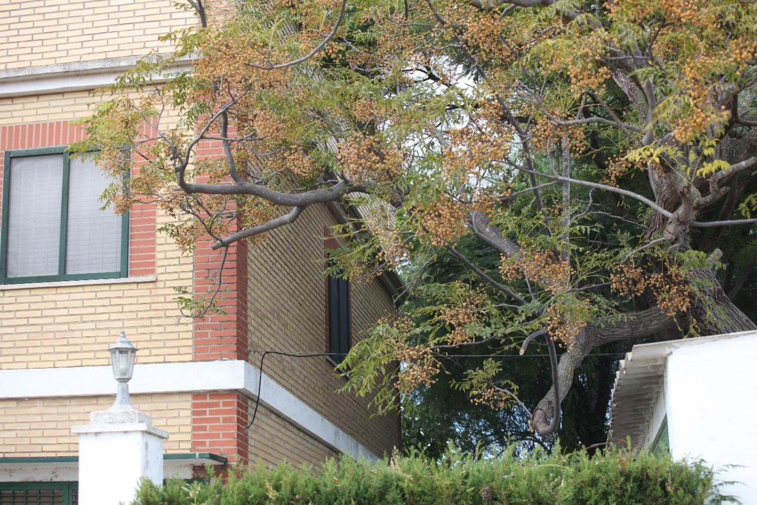  till salu villa Sollana Ribera Baixa 19