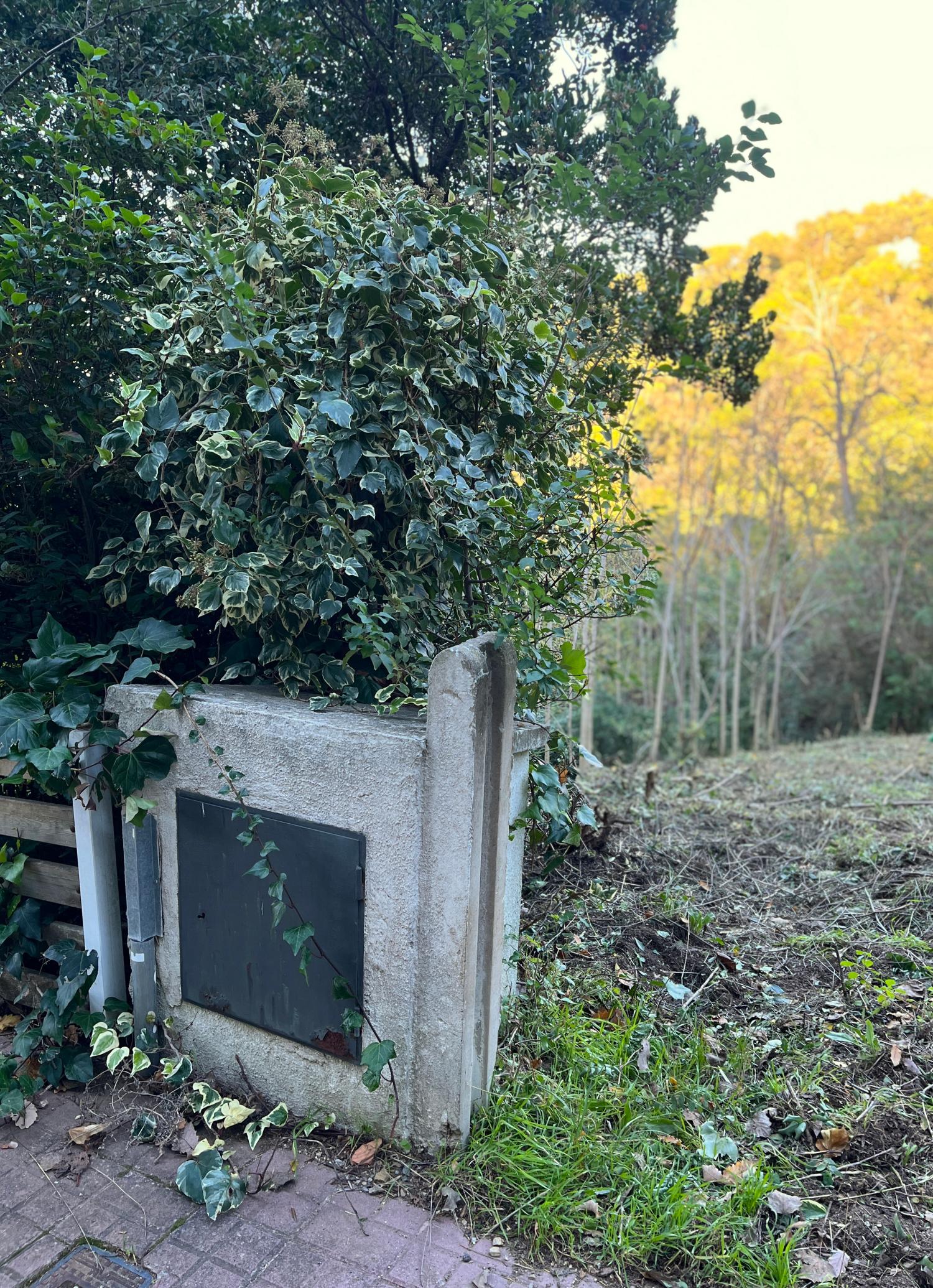  till salu tomt Les Planes Vallès Occidental 11