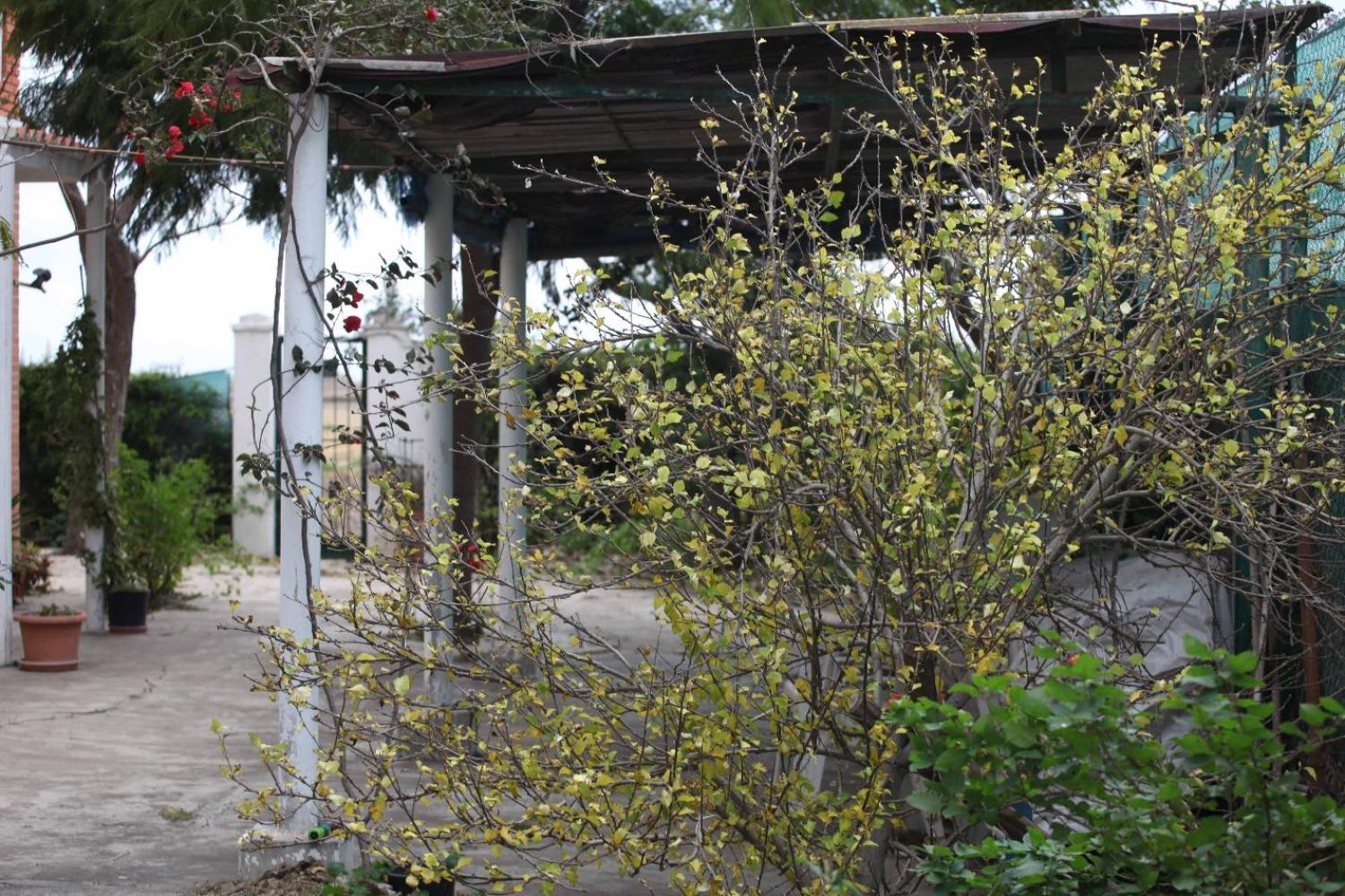  till salu villa Sollana Ribera Baixa 69