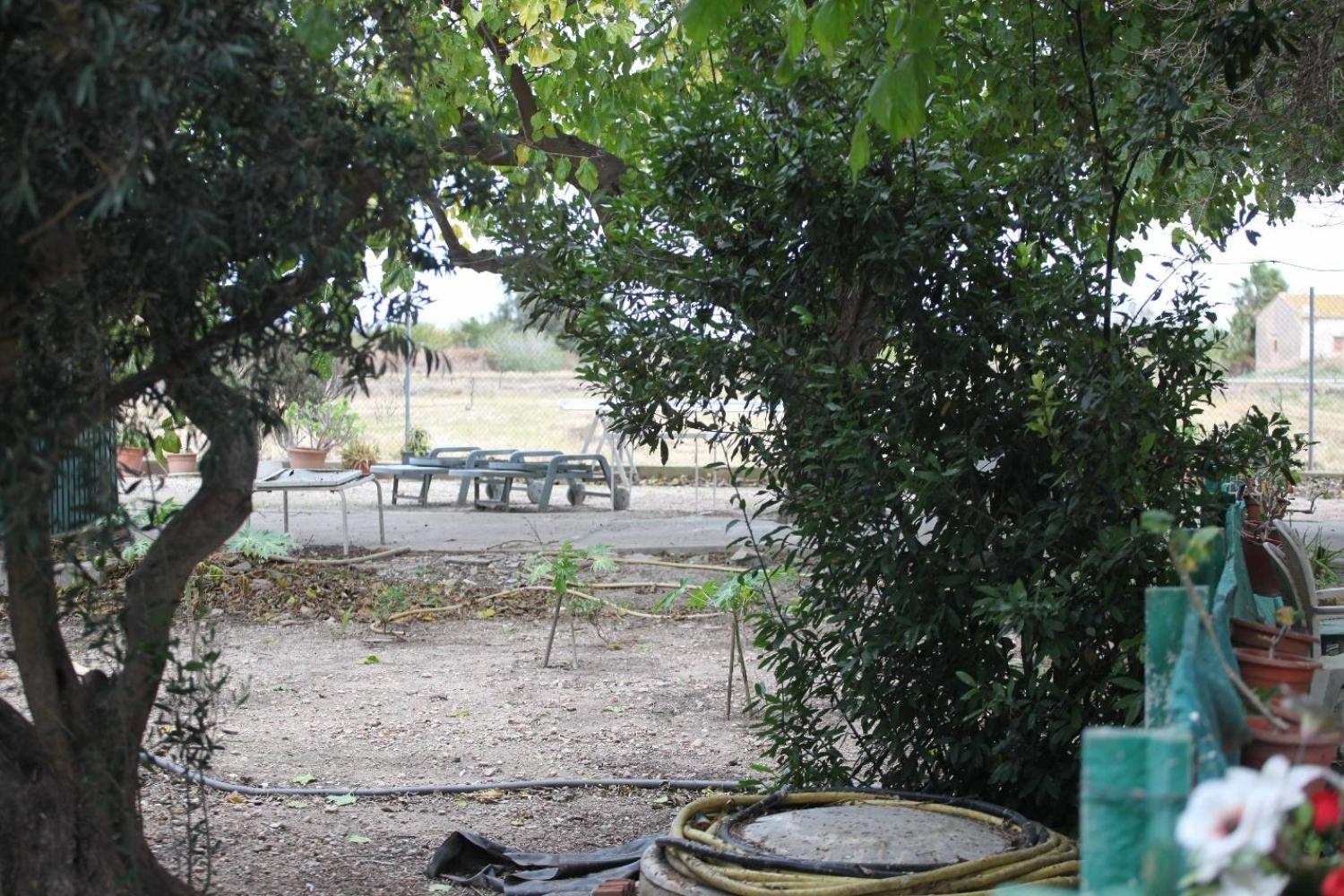  till salu villa Sollana Ribera Baixa 82