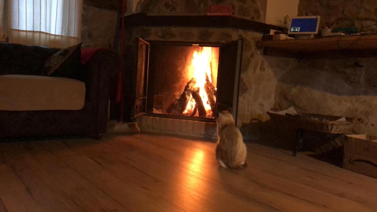  till salu hus på landet Casas Del Castañar Valle Del Jerte 3